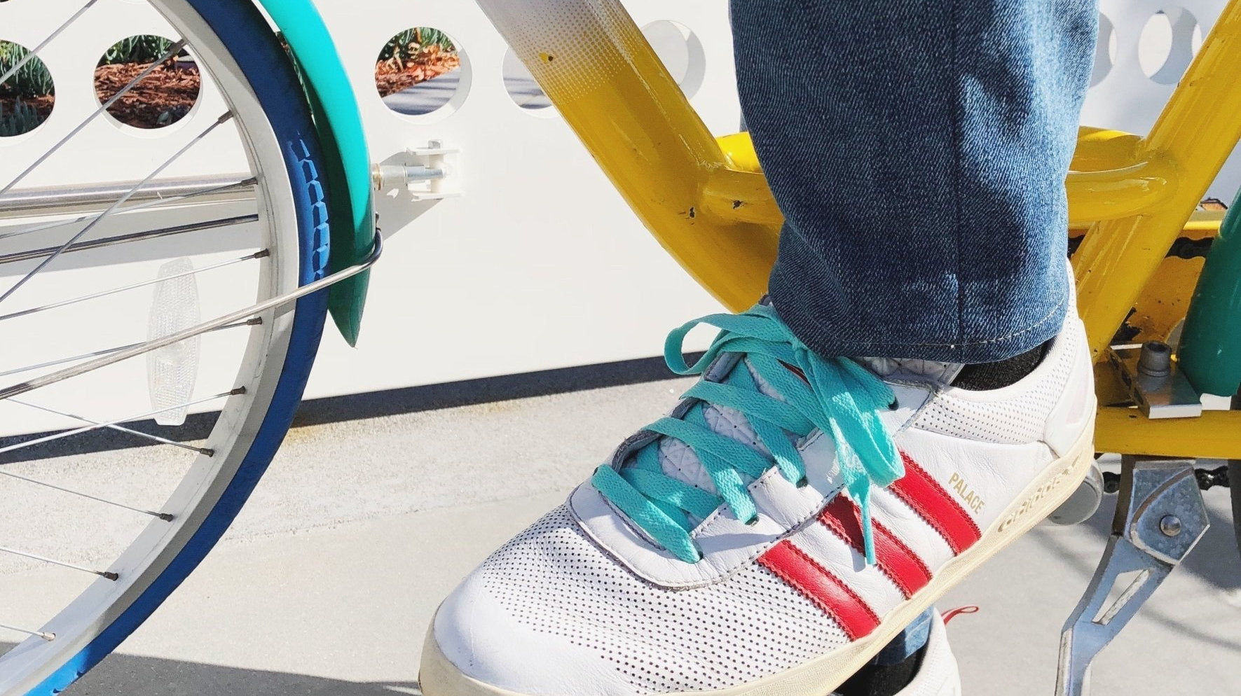 Google Invites RLS To Their Headquarters! - Shoe Lace Supply